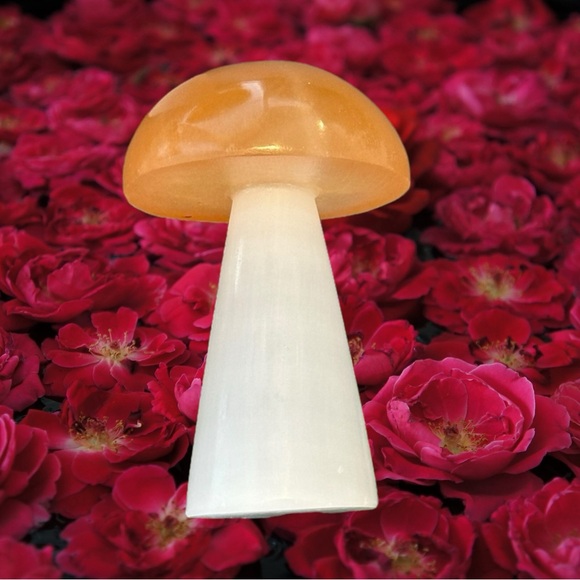 🍄 Selenite Mushrooms 🍄 - Picture 3 of 3